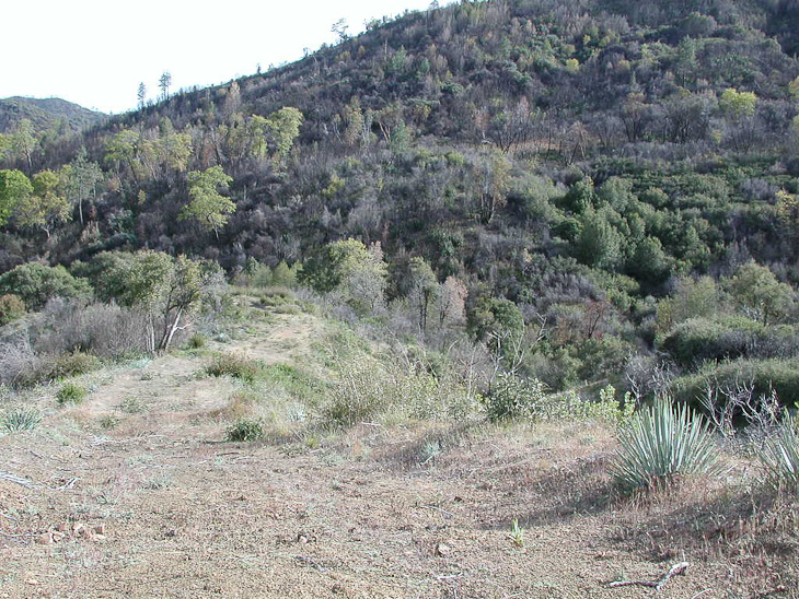 Wildfire of 1999, Ventana Wilderness photo