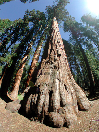 Yosemite