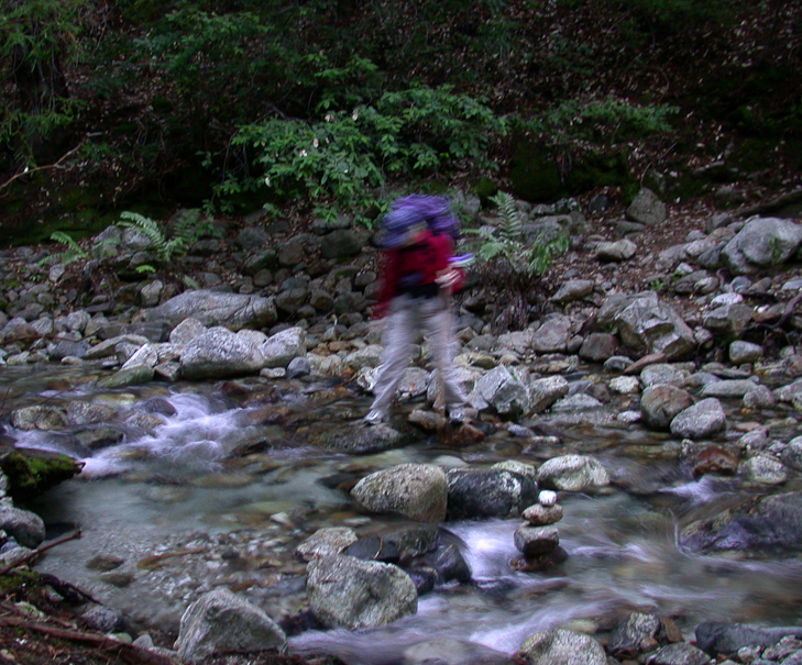 Fancy Footwork, Ventana Wilderness photo