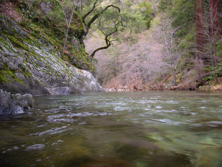 Big Sur River, Ventana Wilderness photo