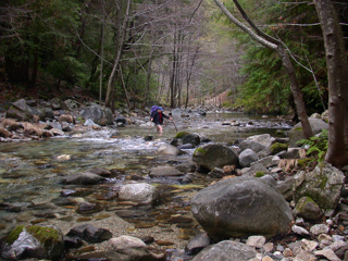 Big Sur River, Ventana Wilderness photo