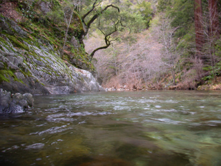 Big Sur River, Ventana Wilderness photo