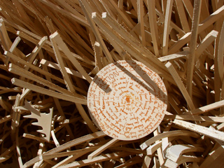 Burning Man photo