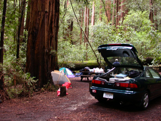 Dave's Trip West photo