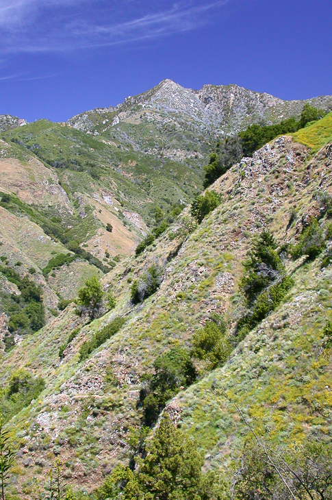 Ventana Wilderness photo