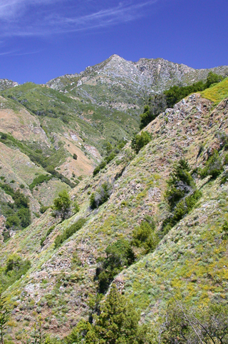 Ventana Wilderness photo