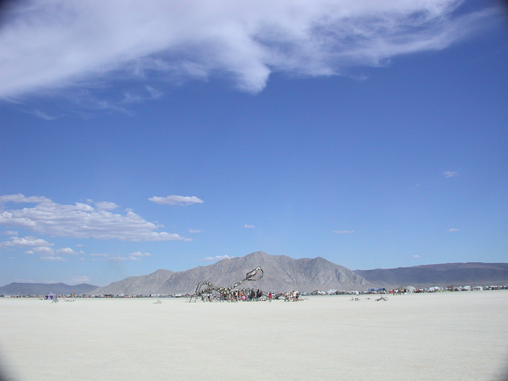 Burning Man photo