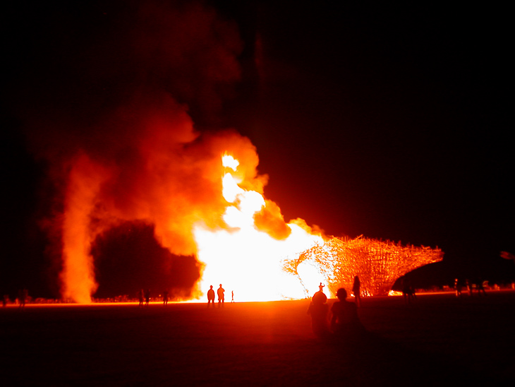 Burning Man photo