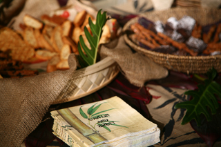 Caitlin and Brett, Brett and Caitlin's Wedding photo