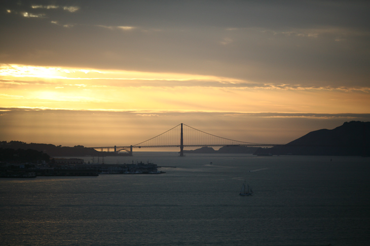 Cat's Birthday photo