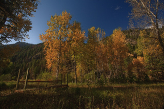 Footbridge, Montana photo