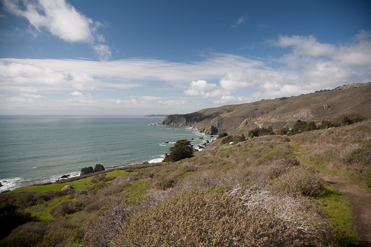 Owl Trail, Owl Trail photo