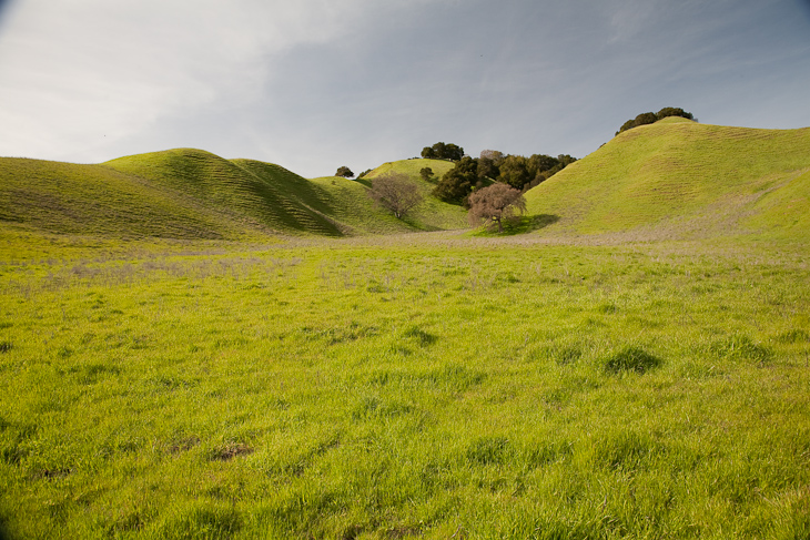 Valley Floor, Briones photo