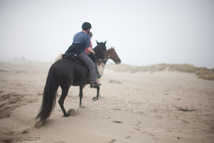Horses in the Fog, Camping with Gil and Milo photo