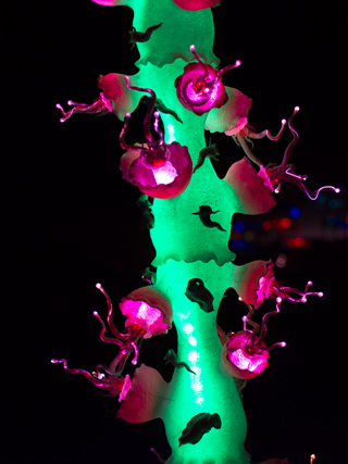 Burning Man photo
