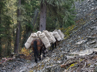 Ranch Creek Pack Train