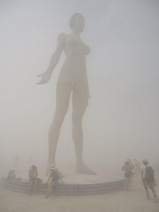  R-Evolution, Burning Man photo