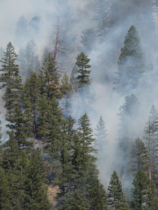 Goat Creek Canyon, Goat Creek Fire photo