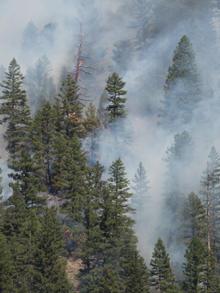 Goat Creek Canyon, Goat Creek Fire photo