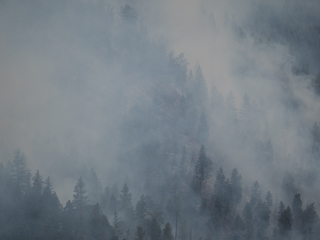 Fire in West Gulch, Goat Creek Fire photo